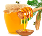 বুনো মৌমাছির মধু