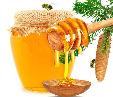 বুনো মৌমাছির মধু