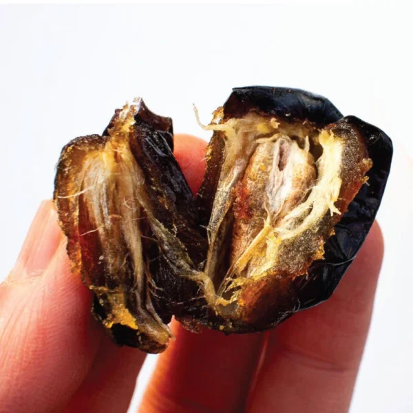 Ajwa Dates