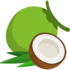 coconuts-quality