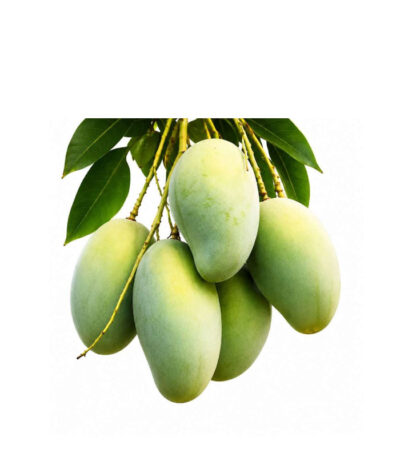Amropoli-mango