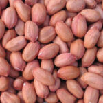 Raw-Peanut